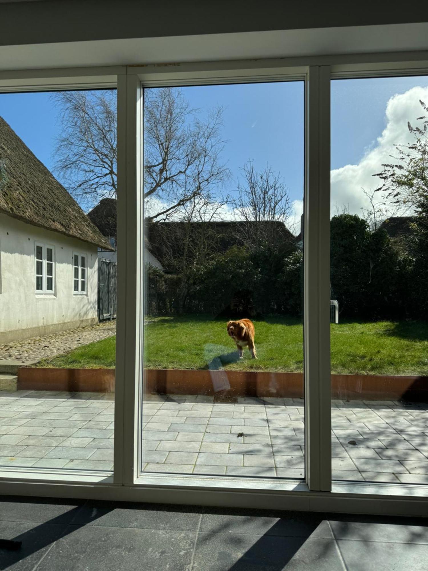 Apartment Kapitaenshaus Von 1712 - Neu Saniert Nieblum
